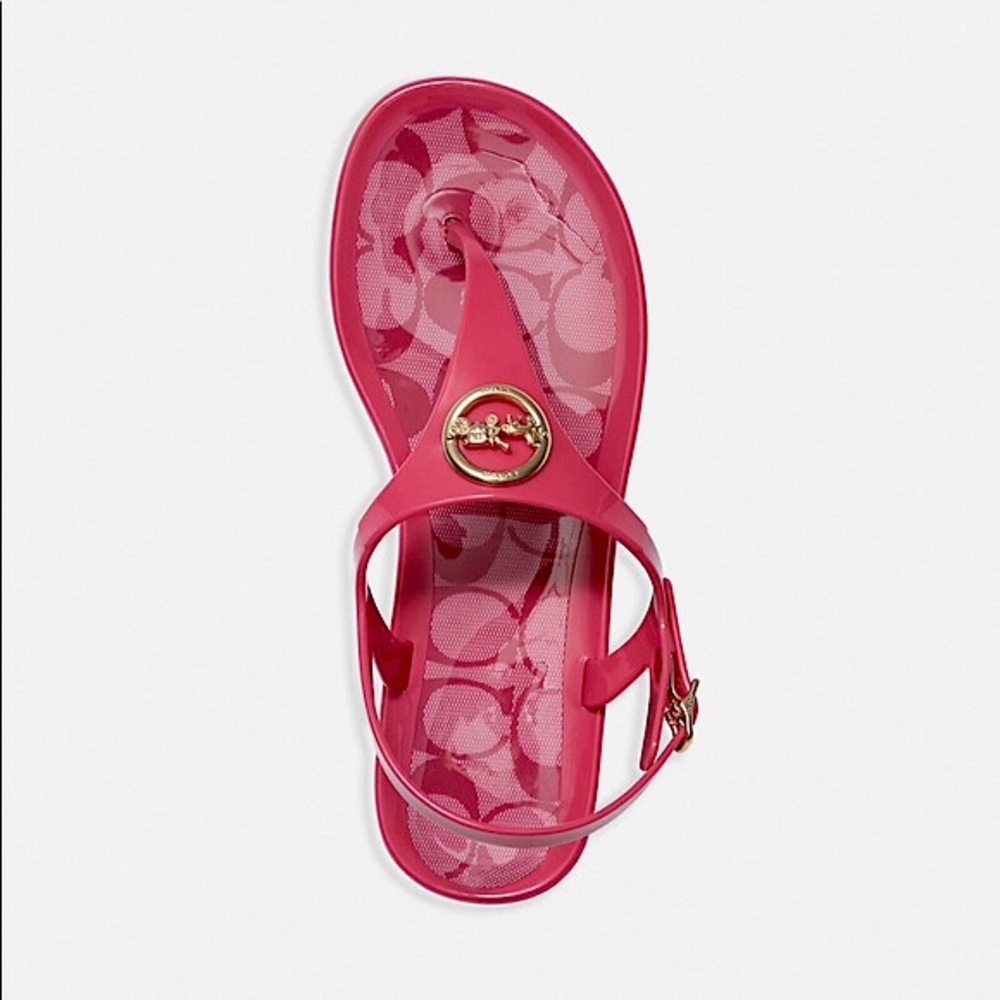 Coach Nicolle Jelly Sandals